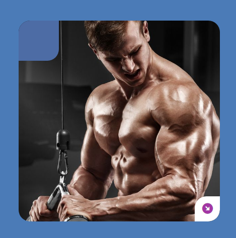 Profile Card Rotate Transition Effects master